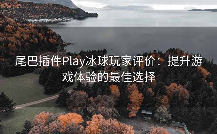 尾巴插件Play冰球玩家评价：提升游戏体验的最佳选择